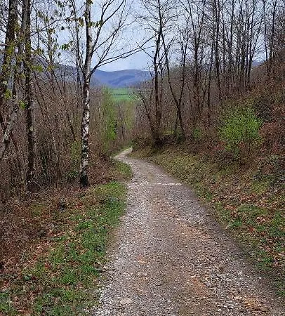 El Bosque Encantado